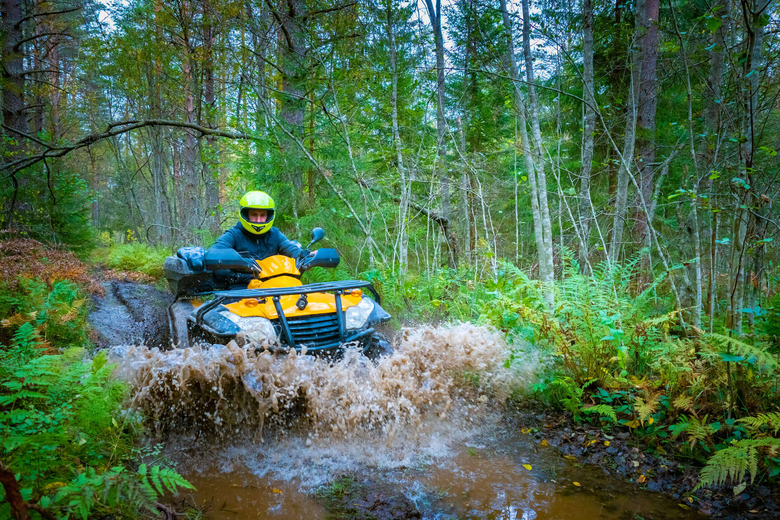 Tallahassee, Leon County, FL ATV Insurance.1